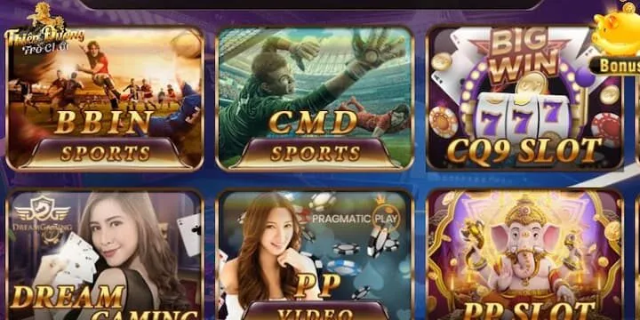 Giới thiệu cơ bản CMD Sports TDTC