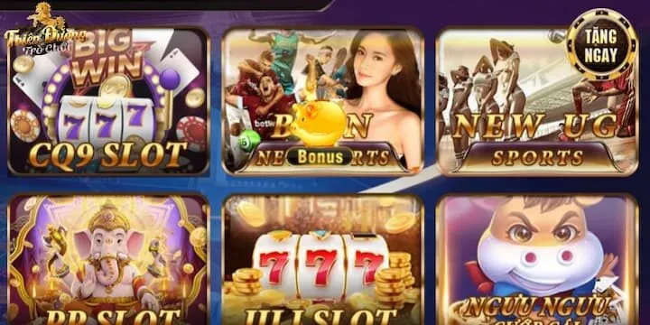 Vài nét giới thiệu về UG Sports TDTC